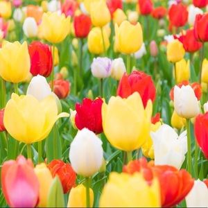 Meet your Posher, Edie